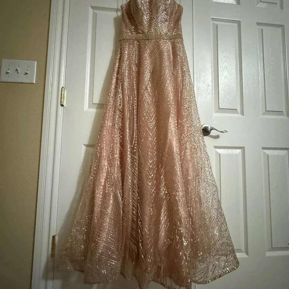 Pink Gown - Picture 6 of 11